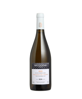 Malvasia de Cândia